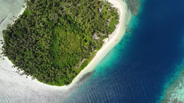 Aerial: flying over tropical island white beach caribbean sea turquoise water co