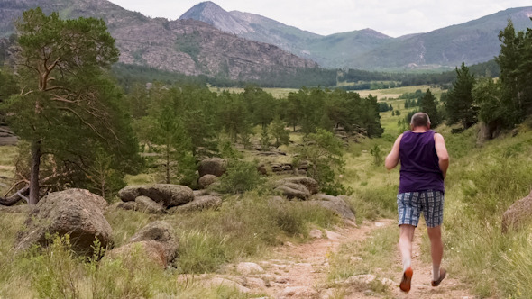 Man Jogging on the Mountain Valley 1525 alt