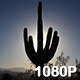 Sun Rises behind Saguaro Cactus Silhouette - VideoHive Item for Sale