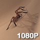 Giant Crab Spider Trapped in Sink - VideoHive Item for Sale