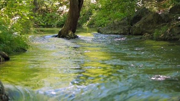 River Water Falling In The Forest. Audio Included.