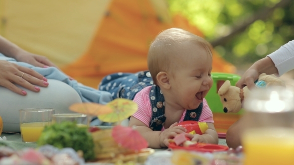 Sweet Baby With Her Family At a Picnic alt
