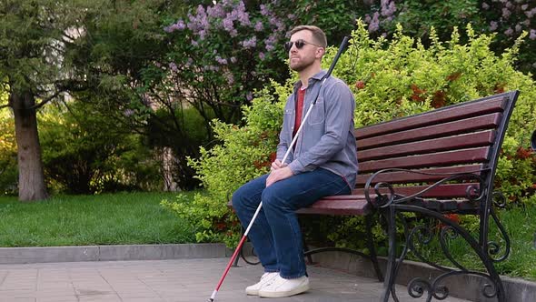 A Blind Man with a Cane Sits on a Bench in a Park