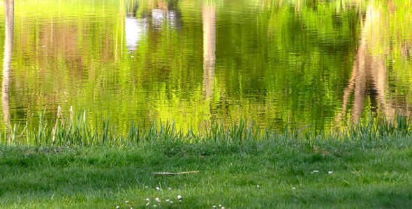 People Reflection Silhouette on Green Lake 1