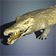 Crocodile - 3DOcean Item for Sale