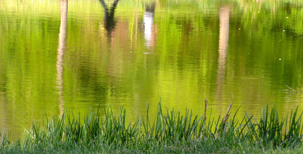 People Reflection Silhouette on Green Lake 4