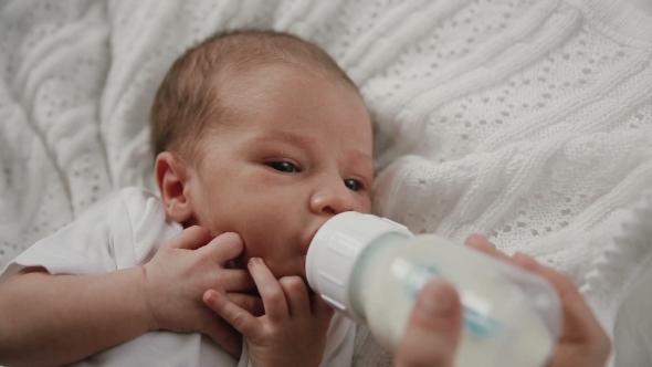 Mom Feeds The Baby Bottle