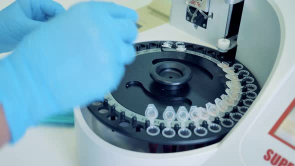 Lab Worker Is Inserting Probes Into a Centrifuge. Coronavirus 2019-nCoV Analyzing Concept.