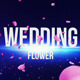 Wedding Flower Film Studio - VideoHive Item for Sale