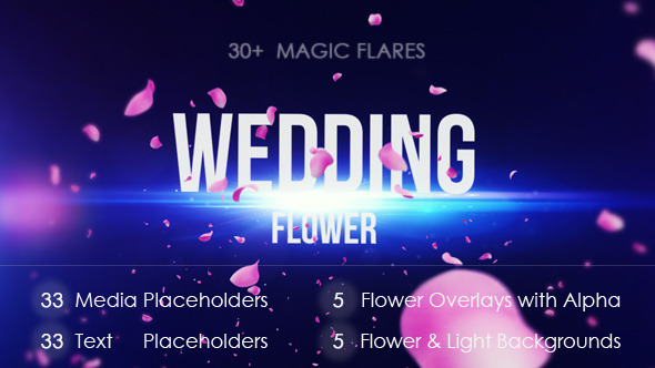 Wedding Flower Film Studio