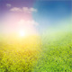 Nature Backgrounds with Spring or Summer Landscape - GraphicRiver Item for Sale