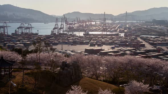 Timelapse Busan Cargo Harbour with Cranes Against Hills