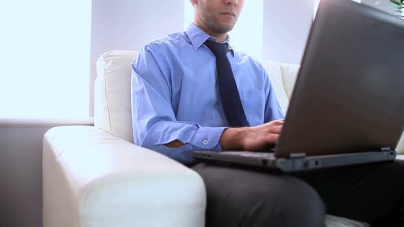 Portrait Of A Businessman Using A Laptop On A Couch 1