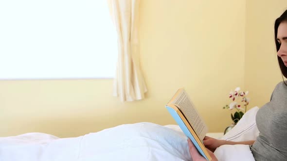 Portrait Of A Woman Reading A Blue Book In Bed