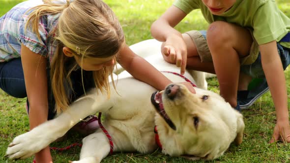 Brother And Sister Rubbing Their Dog