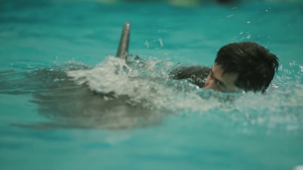 Asian Man Swim With Dolphin