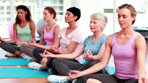 Group Of Women In Fitness Studio Doing Yoga