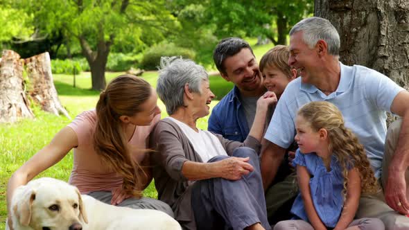 Extended Family Smiling At The Camera In The Park