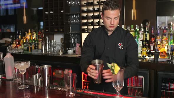 Handsome Bartender Shaking Drink In A Cocktail Shaker