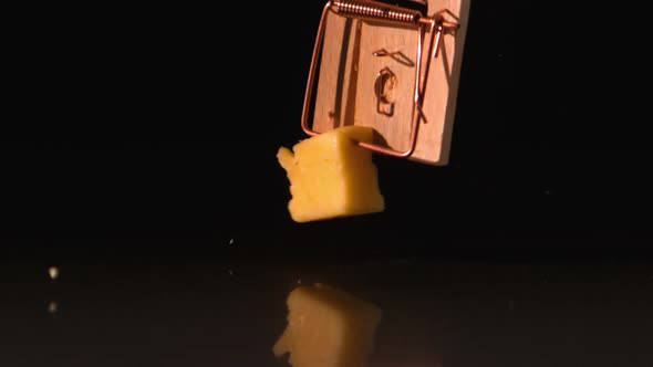 Mousetrap Snapping On Chunk Of Cheese