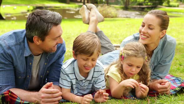 Cute Family Lying On A Blanket In The Park alt