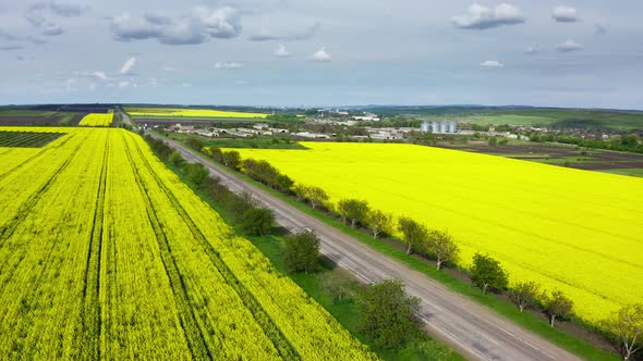 Aerial View of Yellow Blooming Oilseed Rape Fields