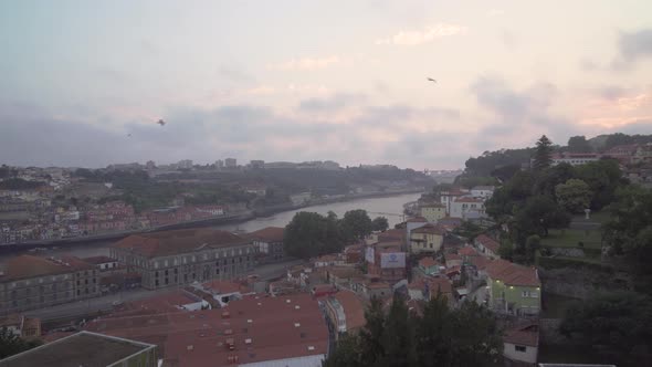 Porto riverside at the end of the day with seagulls flying