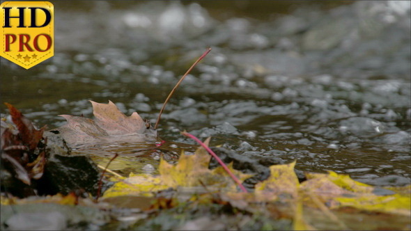 The Closer View of the Water Rushing on the River