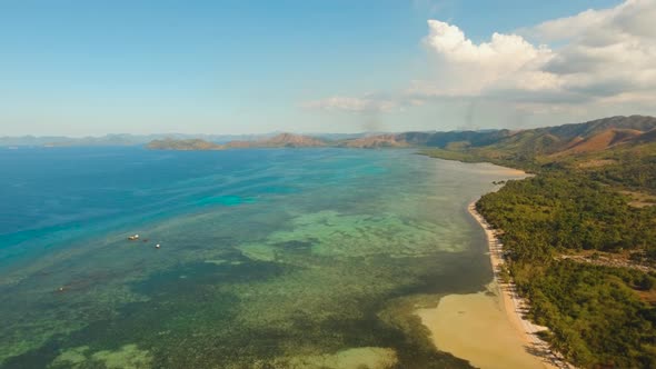 Tropical Beach with and Turquoise Sea