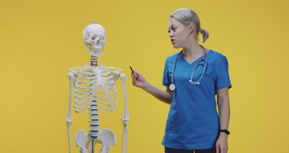 Doctor Explaining Anatomy with Skeleton