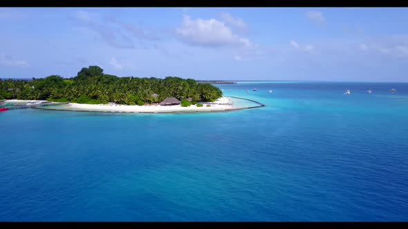 Aerial drone panorama of idyllic coast beach wildlife by blue sea and bright sandy background of a d