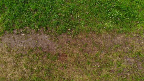 Flying over Green Meadow Field. Aerial View.