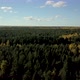 A Stunning View of the Autumn Forest with Green Coniferous Pines and Yellow Birches. Top View Drone - VideoHive Item for Sale