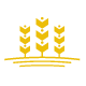 Wheats Farmer Logo - GraphicRiver Item for Sale