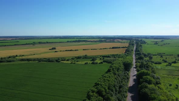 Aerial View Road With Trees Near Field