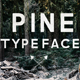 Pine Typeface - GraphicRiver Item for Sale
