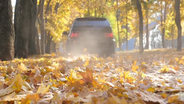 Powerful SUV Driving on Park Road Over Yellow Autumn Leaves in Sunny Day