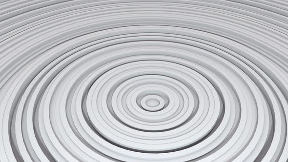 Abstract Pattern Of Circles With The Effect Of Displacement White Clean Rings Animation 4k