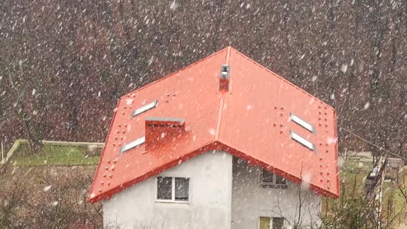 House and Snow 6