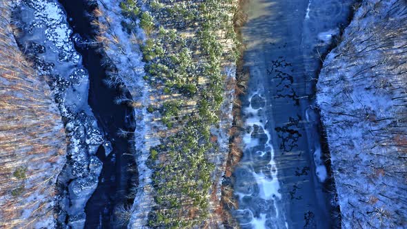 Cold forest and frozen river in winter.