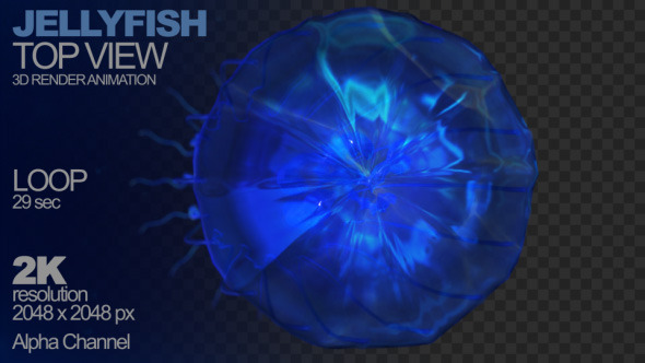 Jellyfish 3D alt