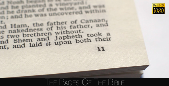 The Pages Of The Bible