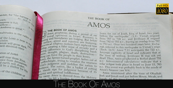 The Book Of Amos