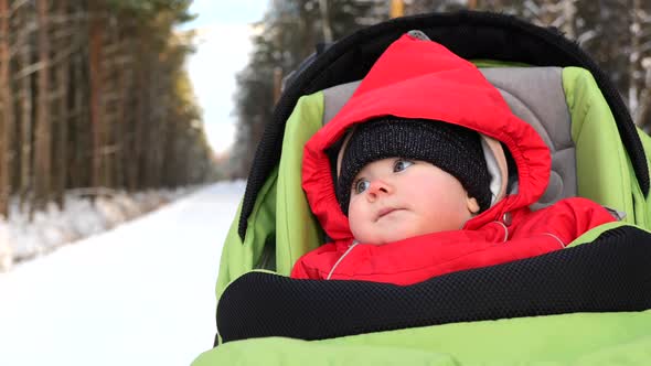 Adorable 7 Month Baby in Stroller Winter Time