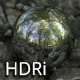 HDRI - Forest Trail - 3DOcean Item for Sale