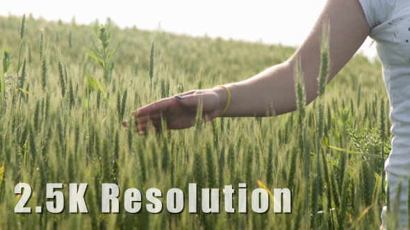 Girl Walking through Cereal Field 3 alt