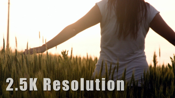 Girl Walking through Wheat Field 2 alt