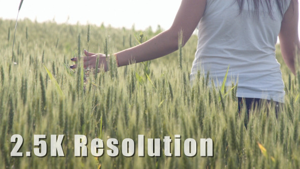 Girl Walking through Wheat Field 3 alt