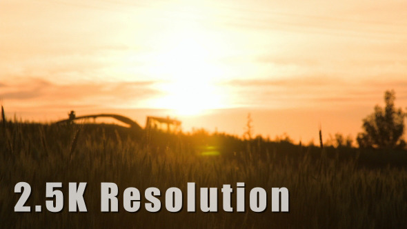 Sunset Tractor through Wheat Field