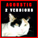 Uplifting Acoustic